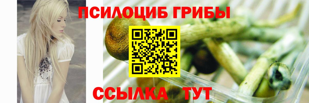 Галлюциногенные грибы ЛСД  Галлюциногенные грибы Psilocybe  Вход с VPN  Киселёвск 