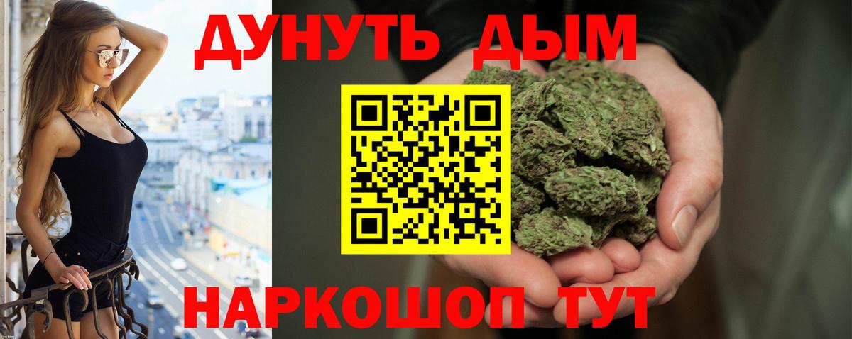 Киселёвск  Каннабис план  Конопля сатива  Вход с VPN 